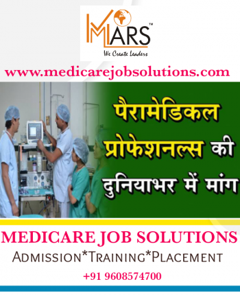What is Paramedical