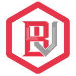 BinaryView logo