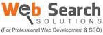 Web Search Solutions logo