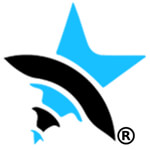 Websoftstar Infosystems LLP logo