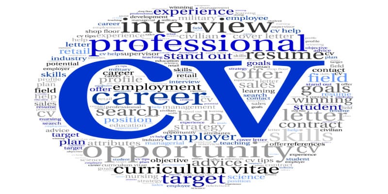 Hiring professional CV writing services