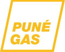 PUNE GAS PVT LTD