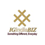 Igindiabiz Logo