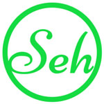 Shayan Educational Hub Company Logo