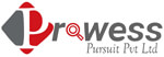 Prowess Pursuit Pvt Ltd logo