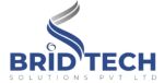 Brid Tech Solutions Private Limited Company Logo