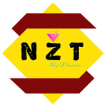 New Zen Terminal Technologies Pvt Ltd logo
