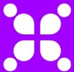 Sunshine Wings Company Logo