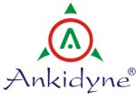 Ankidyne Pvt Ltd logo