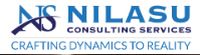 NILASU Consulting Services Company Logo