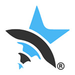 Websoftstar Infosystems LLP logo