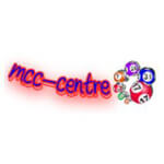 cii-model career center logo