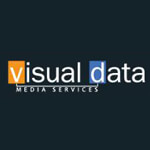 Visual data media services logo