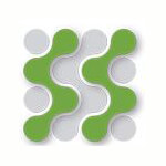 Sateri Software Services Pvt Ltd logo