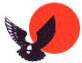 Airways Courier India Pvt Ltd logo