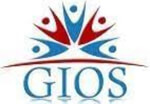 GIOS IT Services Company Logo