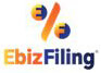 Ebizfiling Pvt Ltd logo