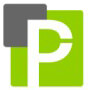 Professional IT Sols Pvt. Ltd. Company Logo