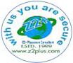 Z2 plus Placement & Security Agency logo