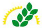 Rexsil Silicon Technology Pvt Ltd logo