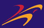 Falcon Telesourcing Pvt Ltd logo