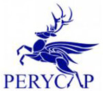 Peryton Securities Consultant Pvt. Ltd. Company Logo