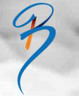 Bonum ITES Pvt Ltd logo