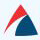 Pyramid eServices Pvt. Ltd Company Logo