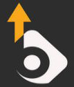 Bizknowmics logo