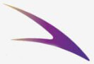 Amar IT Solutions Company Logo