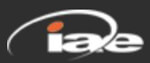 Iae Global India Company Logo