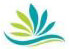 Kayra Global Company Logo