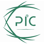 Panorama India Consultancy logo