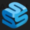 Salve Software Services logo