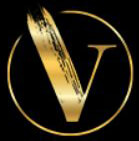 Vidini Technology Pvt Ltd logo