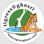 Tigressghosri logo