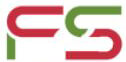 Future Solutionz logo