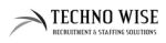 TechnoWise Company Logo