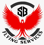 SB FLYING SERVICES logo