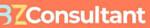 Bz Consultant Company Logo