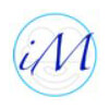 Imugil Solutions Pvt. Ltd. logo