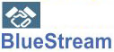 BLuestream Consutlant Company Logo