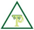 Talentpull and Infrastructure Pvt. Ltd. logo