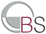Boston Solutions Services Company Logo