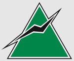 Fernandes and Associates Company Logo