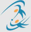 Zyoin Pvt. Ltd. logo