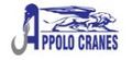 Appolo Cranes Private Limited logo