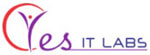 Yesventive It Labs Pvt. Ltd logo