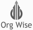 Org Wise logo