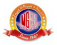 VG Electrical Service Company Logo